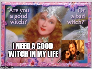 witches | I NEED A GOOD WITCH IN MY LIFE | image tagged in witch,magic | made w/ Imgflip meme maker