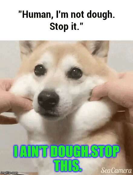 I ain't dough. | I AIN'T DOUGH.STOP THIS. | image tagged in doge,dough,stopit | made w/ Imgflip meme maker