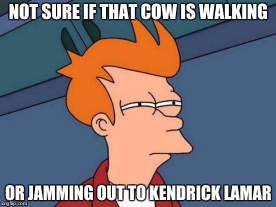 When I See Cows Bobbing Their Heads Up and Down While They're Walking. | NOT SURE IF THAT COW IS WALKING; OR JAMMING OUT TO KENDRICK LAMAR | image tagged in memes,futurama fry,funny,too funny,cow,kendrick lamar | made w/ Imgflip meme maker