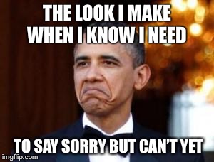 obama not bad | THE LOOK I MAKE WHEN I KNOW I NEED; TO SAY SORRY BUT CAN’T YET | image tagged in obama not bad | made w/ Imgflip meme maker