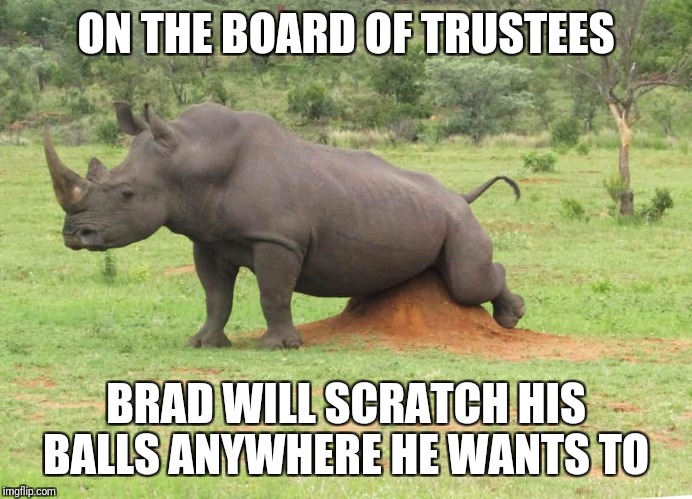 Rhino scratching balls | ON THE BOARD OF TRUSTEES; BRAD WILL SCRATCH HIS BALLS ANYWHERE HE WANTS TO | image tagged in rhino scratching balls | made w/ Imgflip meme maker