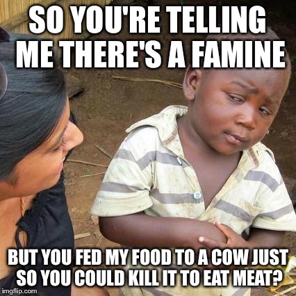 Go vegan  | SO YOU'RE TELLING ME THERE'S A FAMINE; BUT YOU FED MY FOOD TO A COW JUST SO YOU COULD KILL IT TO EAT MEAT? | image tagged in memes,third world skeptical kid,vegans do everthing better even fart,africa,animals,murica | made w/ Imgflip meme maker