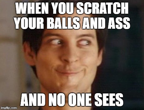 Spiderman Peter Parker |  WHEN YOU SCRATCH YOUR BALLS AND ASS; AND NO ONE SEES | image tagged in memes,spiderman peter parker | made w/ Imgflip meme maker