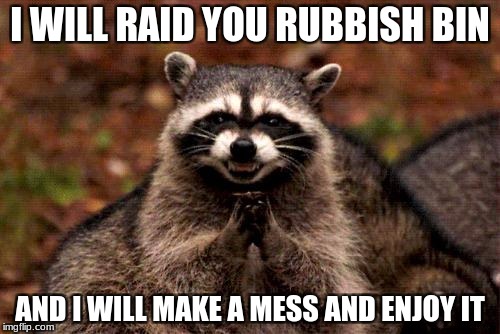 Evil Plotting Raccoon Meme | I WILL RAID YOU RUBBISH BIN; AND I WILL MAKE A MESS AND ENJOY IT | image tagged in memes,evil plotting raccoon | made w/ Imgflip meme maker