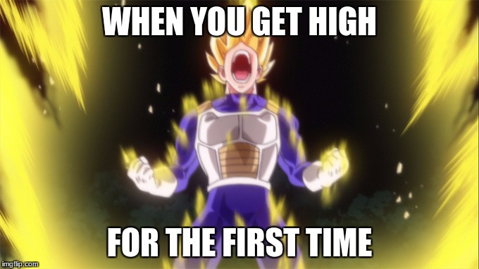 yelling | WHEN YOU GET HIGH; FOR THE FIRST TIME | image tagged in yelling | made w/ Imgflip meme maker