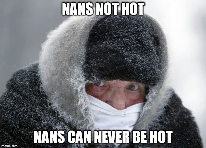 Nans not hot | NANS NOT HOT; NANS CAN NEVER BE HOT | image tagged in nan,hot,mans not hot,skkrraaaaa | made w/ Imgflip meme maker