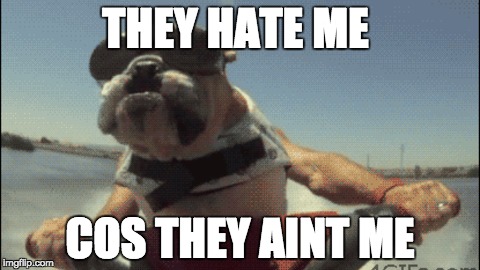 THEY HATE ME; COS THEY AINT ME | image tagged in dog,water | made w/ Imgflip meme maker