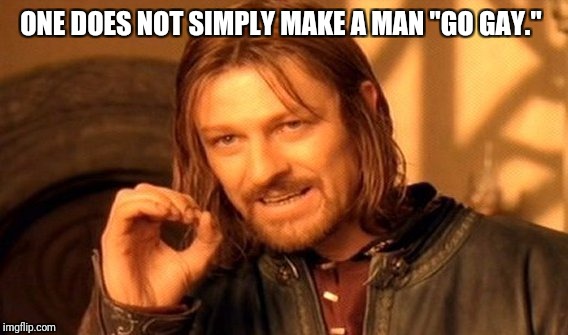 One Does Not Simply | ONE DOES NOT SIMPLY MAKE A MAN "GO GAY." | image tagged in memes,one does not simply | made w/ Imgflip meme maker