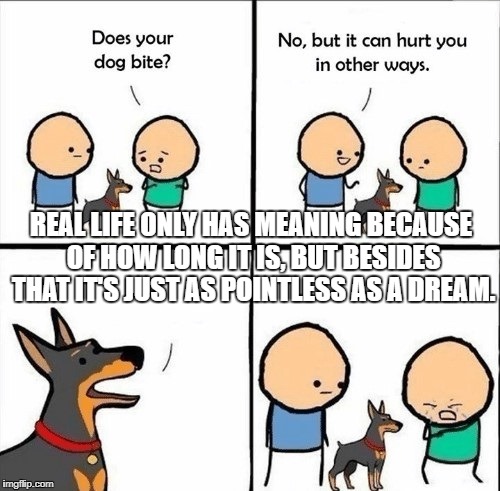 does your dog bite | REAL LIFE ONLY HAS MEANING BECAUSE OF HOW LONG IT IS, BUT BESIDES THAT IT'S JUST AS POINTLESS AS A DREAM. | image tagged in does your dog bite | made w/ Imgflip meme maker