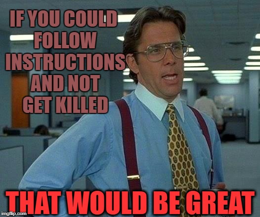 That Would Be Great Meme | IF YOU COULD FOLLOW INSTRUCTIONS AND NOT GET KILLED; THAT WOULD BE GREAT | image tagged in memes,that would be great | made w/ Imgflip meme maker