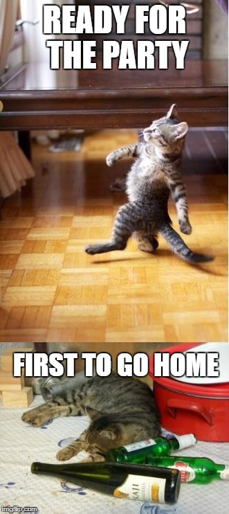 Party cat | READY FOR THE PARTY; FIRST TO GO HOME | image tagged in party cat | made w/ Imgflip meme maker