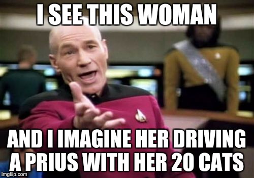 Picard Wtf Meme | I SEE THIS WOMAN AND I IMAGINE HER DRIVING A PRIUS WITH HER 20 CATS | image tagged in memes,picard wtf | made w/ Imgflip meme maker