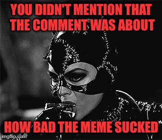YOU DIDN'T MENTION THAT THE COMMENT WAS ABOUT HOW BAD THE MEME SUCKED | made w/ Imgflip meme maker