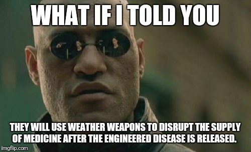 Matrix Morpheus Meme | WHAT IF I TOLD YOU; THEY WILL USE WEATHER WEAPONS TO DISRUPT THE SUPPLY OF MEDICINE AFTER THE ENGINEERED DISEASE IS RELEASED. | image tagged in memes,matrix morpheus | made w/ Imgflip meme maker
