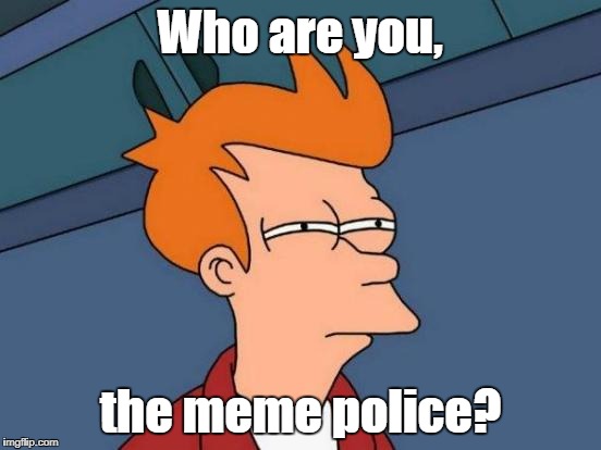 Futurama Fry Meme | Who are you, the meme police? | image tagged in memes,futurama fry | made w/ Imgflip meme maker