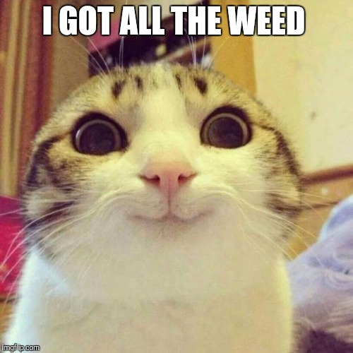 Smiling Cat | I GOT ALL THE WEED | image tagged in memes,smiling cat | made w/ Imgflip meme maker