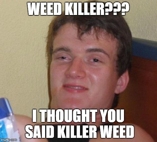 10 Guy Meme | WEED KILLER??? I THOUGHT YOU SAID KILLER WEED | image tagged in memes,10 guy | made w/ Imgflip meme maker