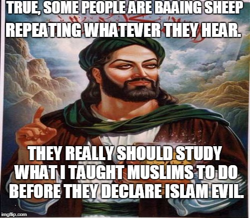 TRUE, SOME PEOPLE ARE BAAING SHEEP THEY REALLY SHOULD STUDY WHAT I TAUGHT MUSLIMS TO DO BEFORE THEY DECLARE ISLAM EVIL. REPEATING WHATEVER T | made w/ Imgflip meme maker
