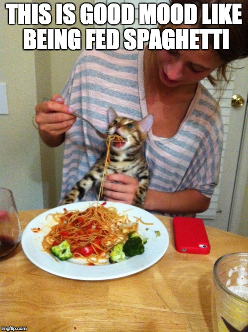 Spaghetto | THIS IS GOOD MOOD LIKE BEING FED SPAGHETTI | image tagged in spaghetti,cat,meme,moms spaghetti,cats,dank memes | made w/ Imgflip meme maker