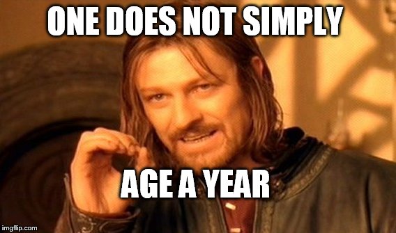 One Does Not Simply Meme | ONE DOES NOT SIMPLY AGE A YEAR | image tagged in memes,one does not simply | made w/ Imgflip meme maker