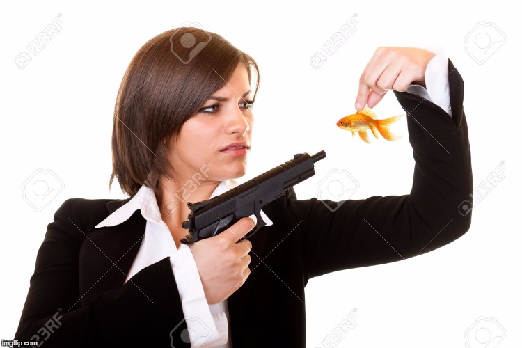 Meanwhile | . | image tagged in meme,wtf,weird,gun,gold fish,woman | made w/ Imgflip meme maker