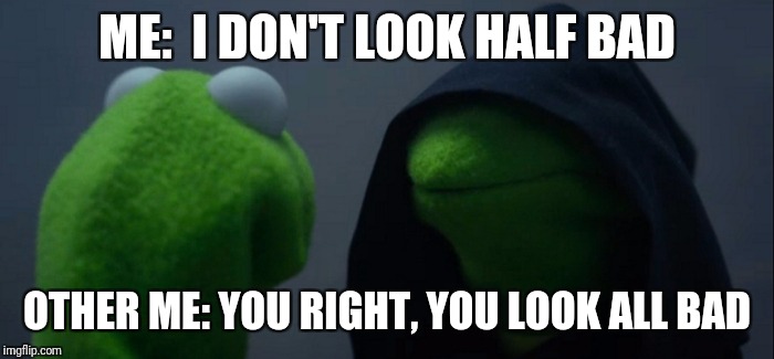 Evil Kermit Meme | ME:  I DON'T LOOK HALF BAD; OTHER ME: YOU RIGHT, YOU LOOK ALL BAD | image tagged in evil kermit | made w/ Imgflip meme maker