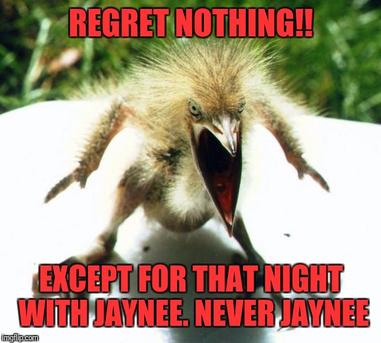 Angry bird | REGRET NOTHING!! EXCEPT FOR THAT NIGHT WITH JAYNEE. NEVER JAYNEE | image tagged in angry bird | made w/ Imgflip meme maker