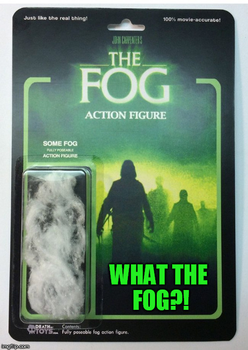 Seems legit | WHAT THE FOG?! | image tagged in fog,action,real,thing,movie | made w/ Imgflip meme maker