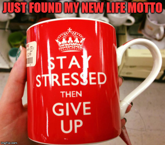 Current mood | JUST FOUND MY NEW LIFE MOTTO | image tagged in life,motivation,stress,never give up | made w/ Imgflip meme maker