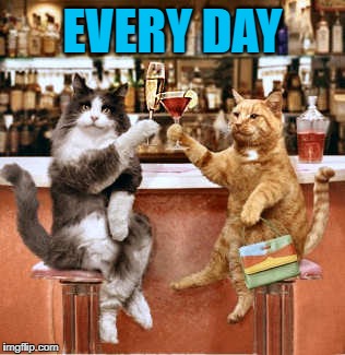 EVERY DAY | made w/ Imgflip meme maker