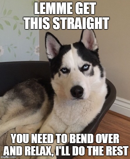 Unimpressed husky | LEMME GET THIS STRAIGHT; YOU NEED TO BEND OVER AND RELAX, I'LL DO THE REST | image tagged in unimpressed husky | made w/ Imgflip meme maker