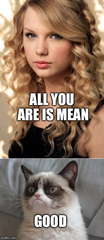 Grumpy Cat on Taylor Swift as NYC's  Global Welcome Ambassador | ALL YOU ARE IS MEAN; GOOD | image tagged in grumpy cat on taylor swift as nyc's  global welcome ambassador | made w/ Imgflip meme maker