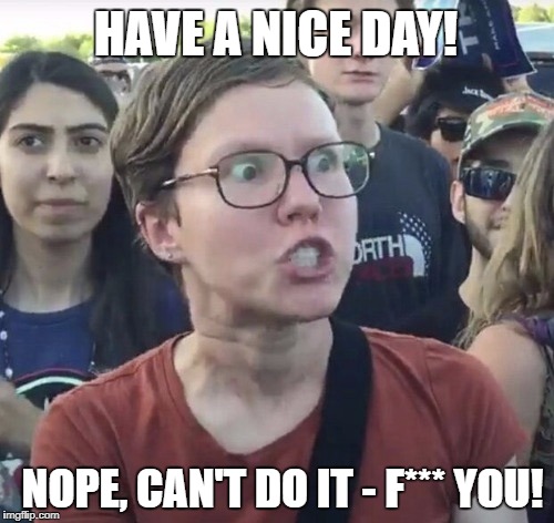 Nice try... | HAVE A NICE DAY! NOPE, CAN'T DO IT - F*** YOU! | image tagged in triggered feminist,have a nice day | made w/ Imgflip meme maker