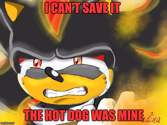 Shadow the Hedgehog Crying | I CAN'T SAVE IT; THE HOT DOG WAS MINE | image tagged in shadow the hedgehog crying | made w/ Imgflip meme maker