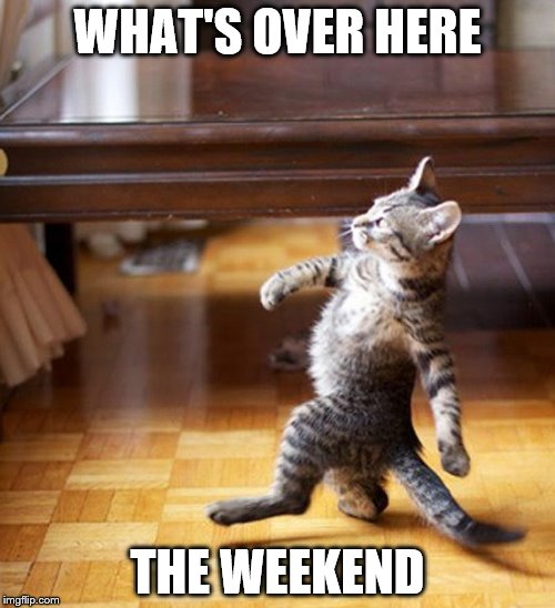 Cat Walking Like A Boss | WHAT'S OVER HERE; THE WEEKEND | image tagged in cat walking like a boss | made w/ Imgflip meme maker