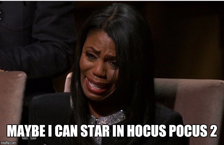 omarosa you're fired | MAYBE I CAN STAR IN HOCUS POCUS 2 | image tagged in omarosa you're fired | made w/ Imgflip meme maker