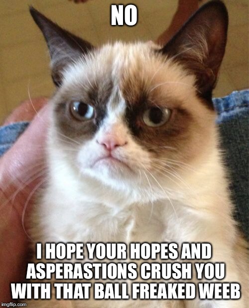 Grumpy Cat Meme | NO I HOPE YOUR HOPES AND ASPERASTIONS CRUSH YOU WITH THAT BALL FREAKED WEEB | image tagged in memes,grumpy cat | made w/ Imgflip meme maker