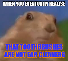 WHEN YOU EVENTUALLY REALISE; THAT TOOTHBRUSHES ARE NOT EAR CLEANERS | image tagged in starestarestarestare | made w/ Imgflip meme maker