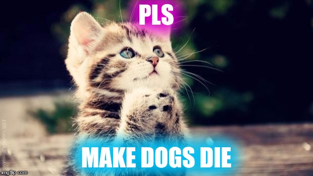 Praying cat | PLS; MAKE DOGS DIE | image tagged in praying cat | made w/ Imgflip meme maker