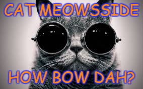 CAT MEOWSSIDE HOW BOW DAH? | made w/ Imgflip meme maker