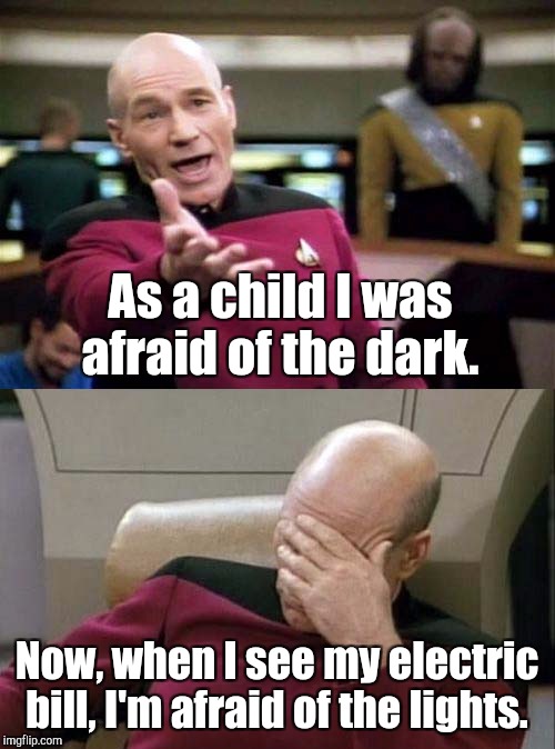 Picard WTF and Facepalm combined | As a child I was afraid of the dark. Now, when I see my electric bill, I'm afraid of the lights. | image tagged in picard wtf and facepalm combined | made w/ Imgflip meme maker