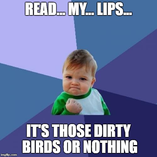Success Kid | READ... MY... LIPS... IT'S THOSE DIRTY BIRDS OR NOTHING | image tagged in memes,success kid | made w/ Imgflip meme maker
