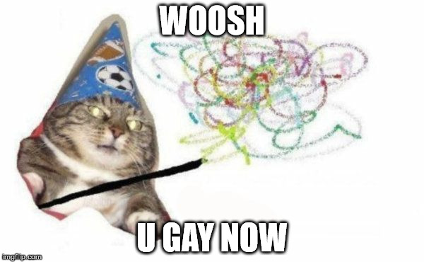 Woosh cat | WOOSH; U GAY NOW | image tagged in woosh cat | made w/ Imgflip meme maker