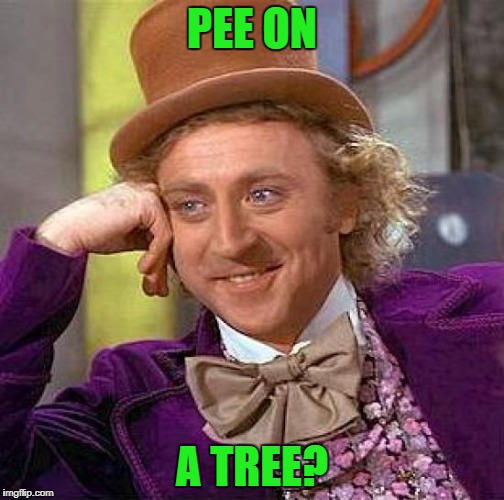 Creepy Condescending Wonka Meme | PEE ON A TREE? | image tagged in memes,creepy condescending wonka | made w/ Imgflip meme maker