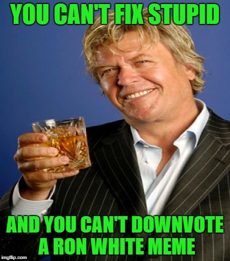 YOU CAN'T FIX STUPID AND YOU CAN'T DOWNVOTE A RON WHITE MEME | made w/ Imgflip meme maker
