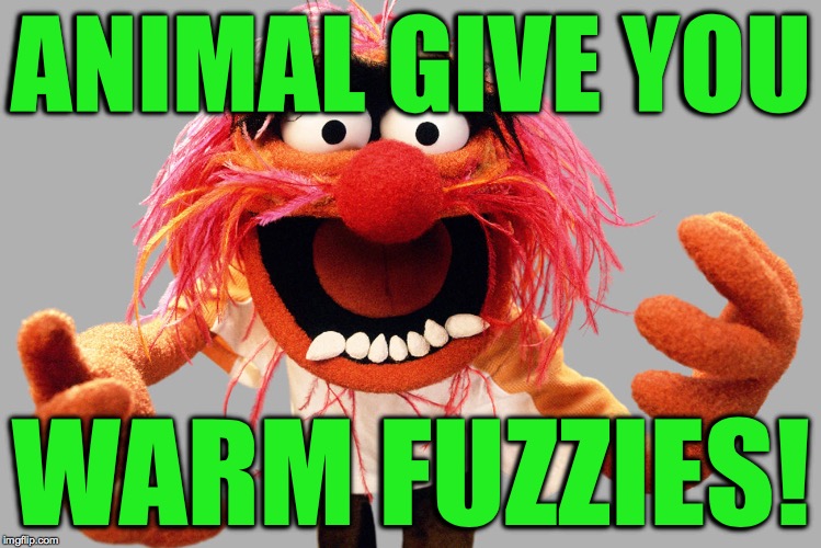 ANIMAL GIVE YOU WARM FUZZIES! | made w/ Imgflip meme maker