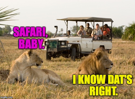 SAFARI, BABY. I KNOW DAT'S RIGHT. | made w/ Imgflip meme maker
