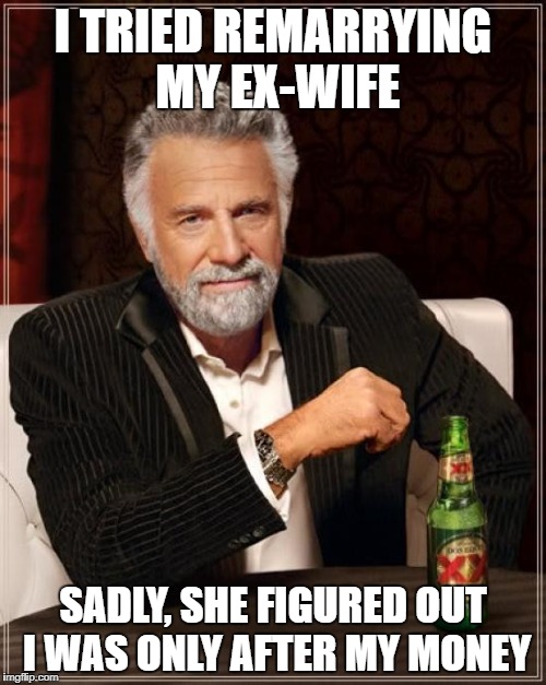 The Most Interesting Man In The World | I TRIED REMARRYING MY EX-WIFE; SADLY, SHE FIGURED OUT I WAS ONLY AFTER MY MONEY | image tagged in memes,the most interesting man in the world | made w/ Imgflip meme maker