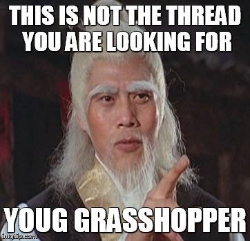 Wise Kung Fu Master | THIS IS NOT THE THREAD YOU ARE LOOKING FOR; YOUG GRASSHOPPER | image tagged in wise kung fu master | made w/ Imgflip meme maker