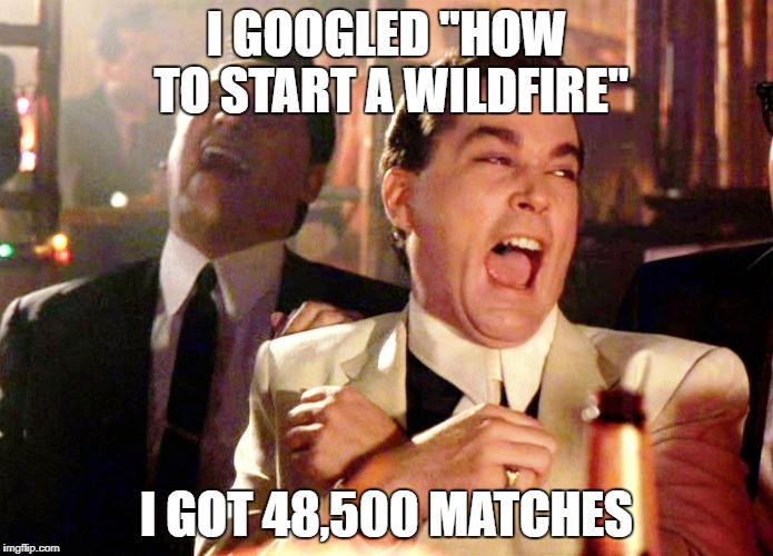 Good Fellas Hilarious Meme | I GOOGLED "HOW TO START A WILDFIRE"; I GOT 48,500 MATCHES | image tagged in memes,good fellas hilarious | made w/ Imgflip meme maker